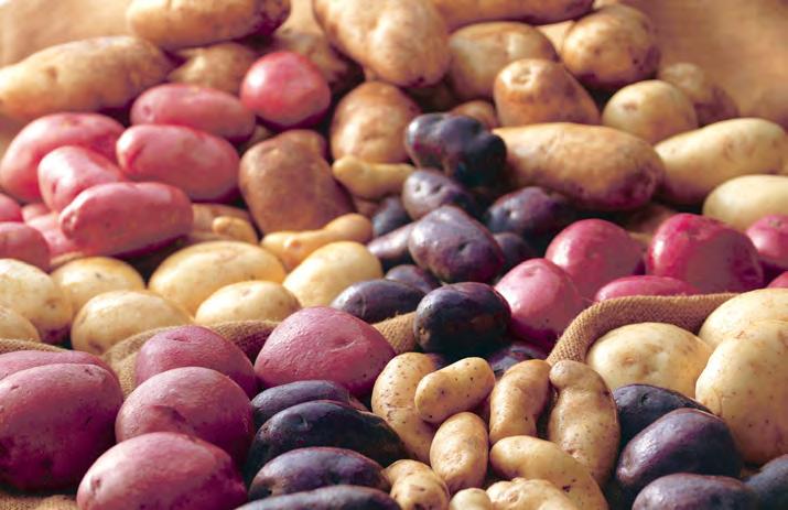 NUTRITION ON A BUDGET Fresh produce doesn t have to break the budget, particularly when you count on potatoes. One serving a medium, 5.3-ounce potato will only set you back about $0.25.