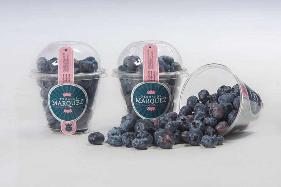 EU: bluberries market, sustainable EU market Blueberries supplies in Europe all year round. l.