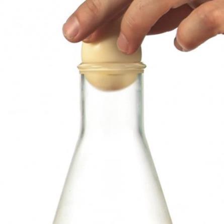 EGG IN A BOTTLE Use air pressure to squeeze a hardboiled egg through the mouth of a bottle www.stevespanglerscience.