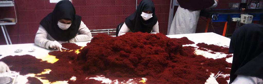 Quality Control System Quality Control System in HI NO saffron company Quality control System in HI NO saffron company is launched as a procedure to ensure the quality of our products.