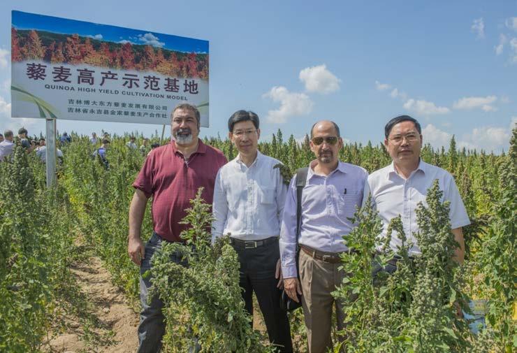 Oriental Company The 1 st China Quinoa