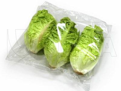 Treatment: Each lettuce stem is smeared on its cut with 2% acetic acid solution to prevent bacterial disease then left to dry naturally.