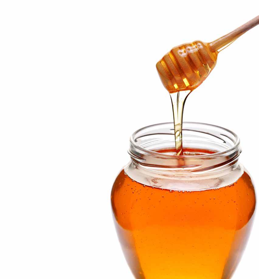 [ mccoy s honey ] All Natural Raw Palmetto Honey All Natural Orange Blossom Honey All Natural Raw WildFlower Honey Honey Bears 12oz Honey: 1