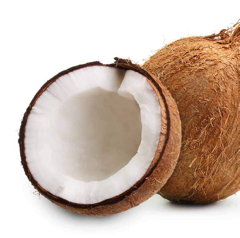 [ coconut ] Organic Raw Young Thai Coconut Meat Organic Raw Frozen Coconut