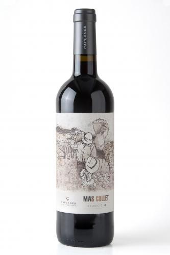 Mas Collet Selecció Tasting note Medium deep red with flecks of violet; ripe cherry flavours; blueberries; smooth, well integrated, oaky, toasty aromas; medium-bodied; fruit-driven; fine ripe