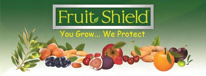 fruit UF/IFAS releases, 13-51 is not expected to be licensed exclusively through the FAST TRACK model.