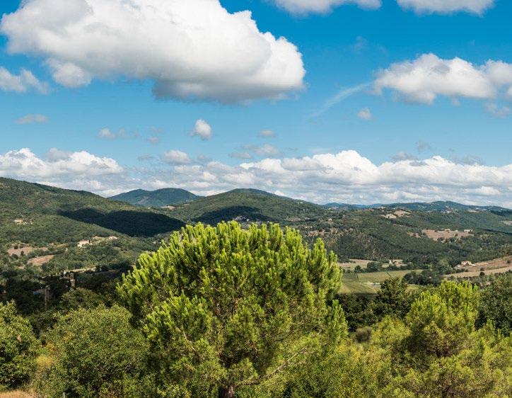 Italy has a natural charm and Pian di Marte is a calm and a very beautiful area in Umbria. All of this provides a relaxing atmosphere to read, to write, to study, to learn English.