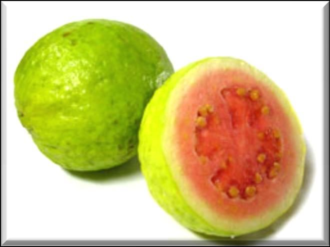 Guava Guava fragrance is a perfect tropical blend of