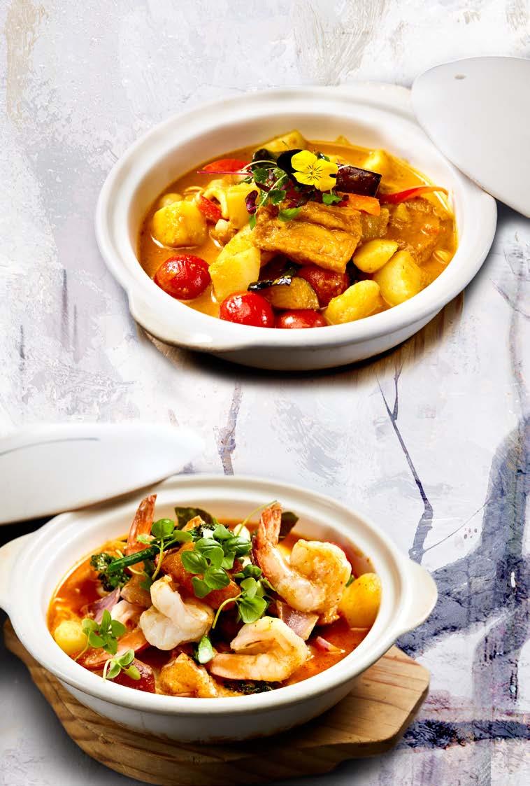 OISOI Malaysian Vegetable Curry V