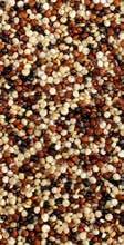 MIXED GRAIN White Royal Quinoa,