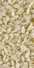KANIWA GRAINS - BULK KANIWA GRAIN (BABY QUINOA) Kaniwa VTB035 Chenopodium pallidicaule Just like quinoa, this