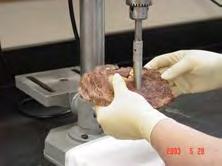 Measuring Meat Tenderness Warner-Bratzler Shear force Core and shear cooked meat Measure force to