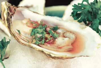 Chef 's RECOMMENDATION Gallagher Oysters ( I r e l a n d