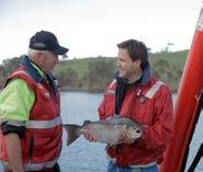 Seafood We source our salmon from the pristine waters of Tasmania Choose from Tasmanian salmon, Australian prawns and sustainable wild caught fish.