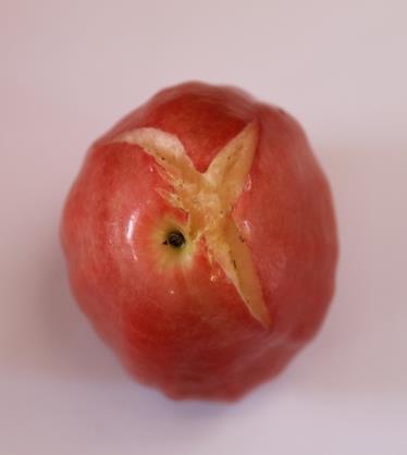 1 Example of bruises wax apple Figure C.2.