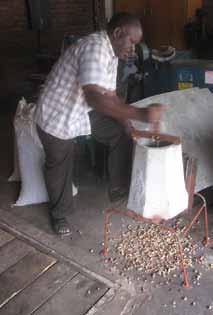Section 3 Groundnut conditioning Threshing Thresh your groundnut pods about 2 to 6 weeks after harvesting, when the pod water content stabilizes at around 10%.