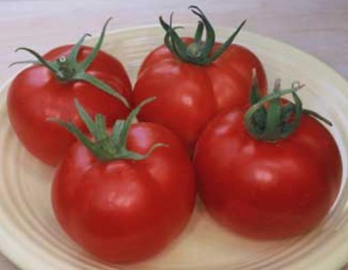 Savor their sun warmed sweet flesh sliced fresh from the garden, in salads, pastas or wherever you crave rich tomato flavor.