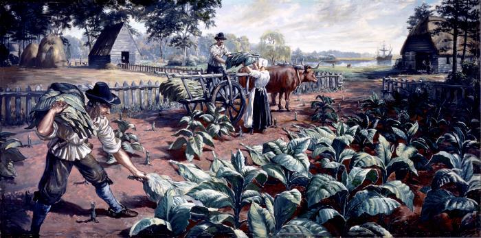 1611-1614: Tobacco Cultivation at Jamestown