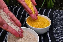Golden rice compared to white rice.