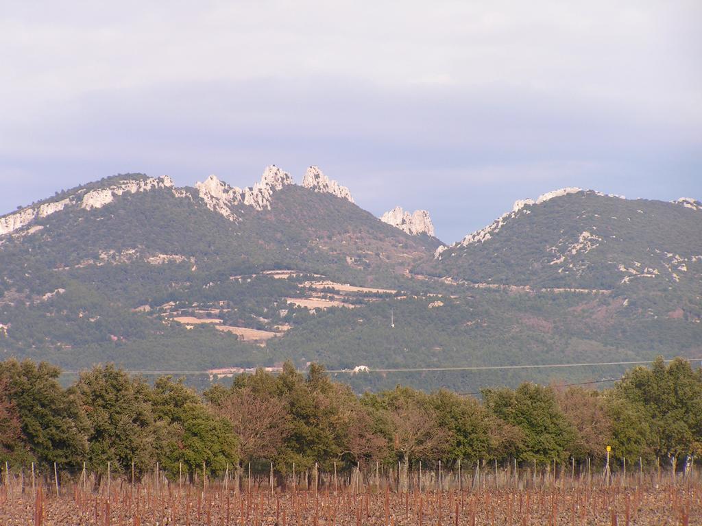 The terroir Domaine de la Charbonnière has got 4 hectares and half of vines, located on the plateau Hautes
