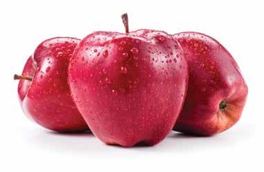 Red Delicious or Gala