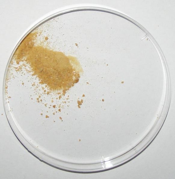 Yeast β-glucan from yeast biomass waste