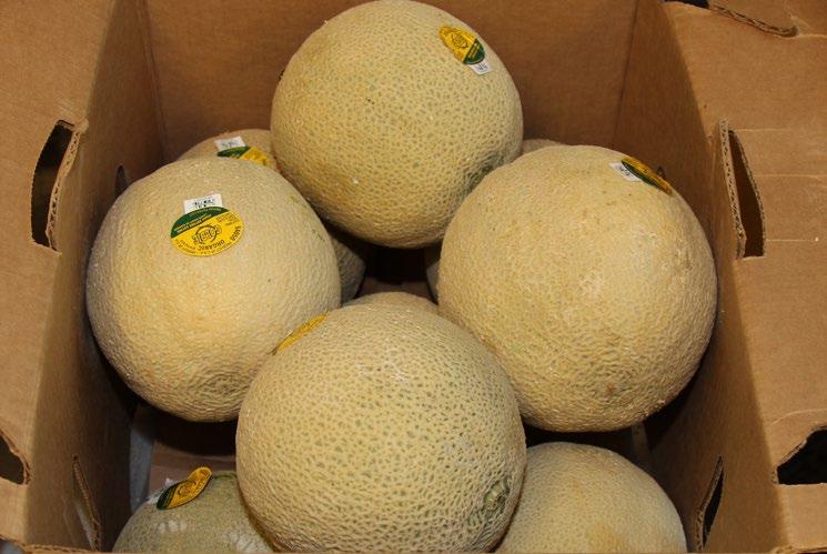 The quality, sugars, and flavor on the California Organic Cantaloupes are outstanding!