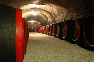 Wine production ~ 3-3,5 million hl/year Mostly underground cellars Traditional