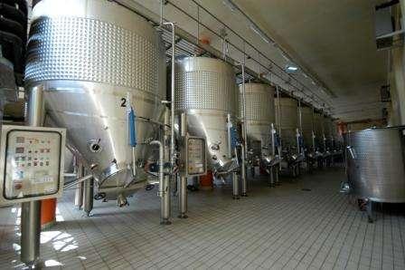In the cellar Once in the cellar, first the handpicked bunches and then the de-stemmed grapes undergo a