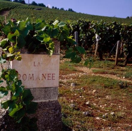 GRANDS CRUS NOTES La Romanee - the smallest appellation in France (2.1 ac).
