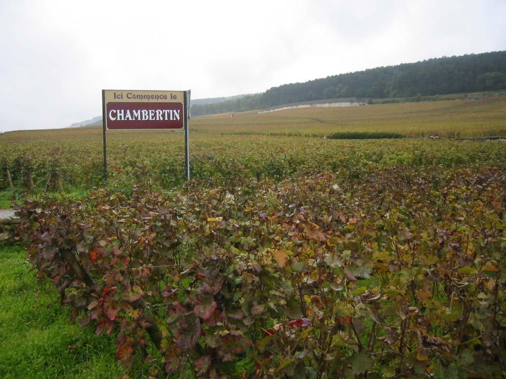 Smokescreens Cost due to quantity, not quality Handful of quality producers TRUTH: Gevrey-Chambertin 9 GC, Vosne