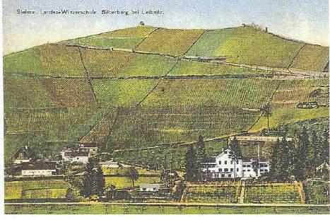 History 1895 Small school for winegrowers founded by Province of Styria, central school in Maribor Slovenia 1920 After World War I (Maribor was not in Austria any more) Styrian Training Centre for