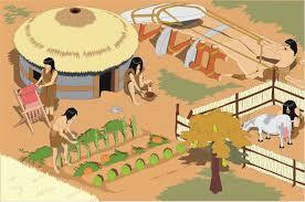 - They MAKE FIRE to cook food and get warmth and protection. - They made STONE TOOLS. - They used them to cut, hunt and to fish.