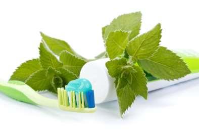 Mint Oil : Why in Oral Care Masking : Mint, with it s Menthol contain, has the property to cover undesirable notes Fresh