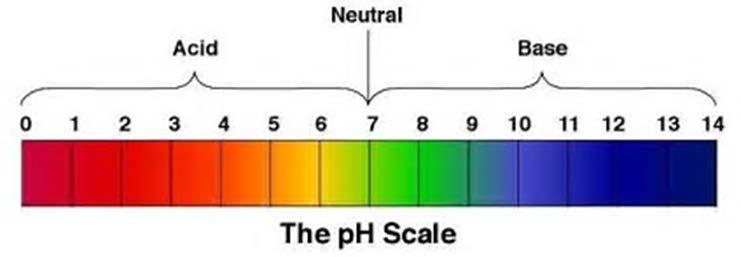 ph in Wine ph is the MOST important number in winemaking!