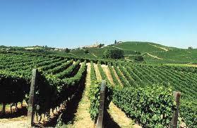 _ We'll get you in the morning to visit a farm of the fifteenth century in the center of Chianti.