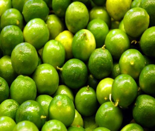 LIME PROCESSING Capacity: 10000 TPA Prepared By: