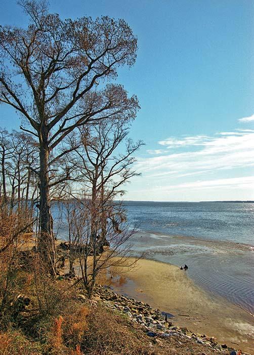 Settling the Albemarle Sound As you read, look for: how North Carolina s geography affected settlement why Virginians moved south to North Carolina vocabulary terms neck, speculate, customs duty This