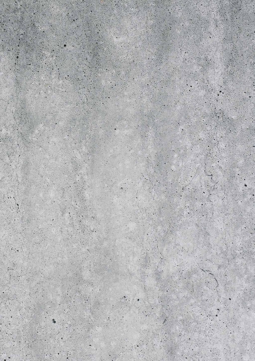 ARCHITECTURAL CONCRETE Contemporary avocation for minimalism and modernism made this seemingly austere finishing material possible to be applied in every private apartment room or public service room.