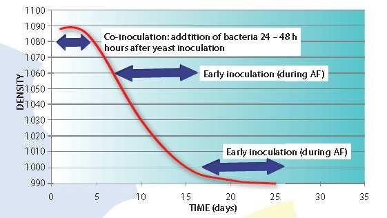 Inoculation Regime Co-inoculation is the practice of