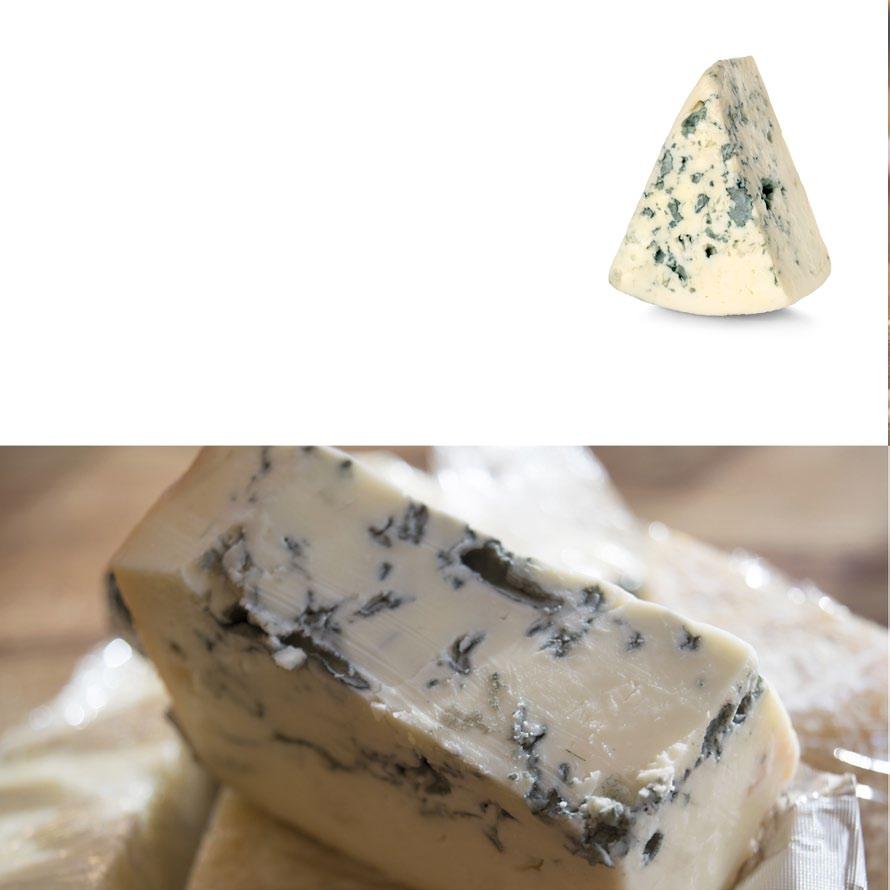 GORGONZOLA PICCANTE PDO soft, blue-green veined whole wheel Fat content 30-32% 60 dd Storage temperature 2 C - 6 C With its intense, spicy and very characteristic taste, it is a