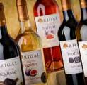 Collection,RIGAL RIGAL expanded and continued its international growth, agreement with signed a