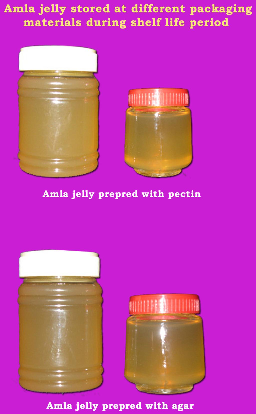 Storage Studies of Amla Products with 1, 1.5 and 2% of mint extract (T 2, 3.25, 3.26 and 3.24 mg/100 ml in amla squash treated with 10, 15 and 20% honey (T 3 and 3.28, 3.23 and 3.