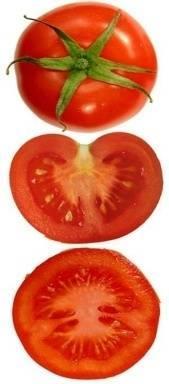 Botanical characteristics of tomato