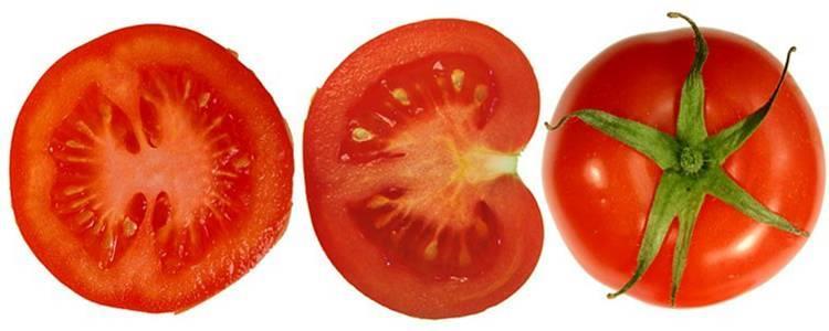 Tomatoes Lycopersicon esculentum Origin: South America (Peru) They came to Europe in 15 th 16 th century Bigger expansion in 19 th