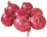 Jumbo Red or White Onions 99