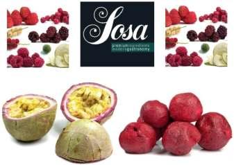 Fine Ingredients from Spain for Gastronomy & Cullinary Freeze Dried Fruit, Texturizers & Speciality Products Procrema