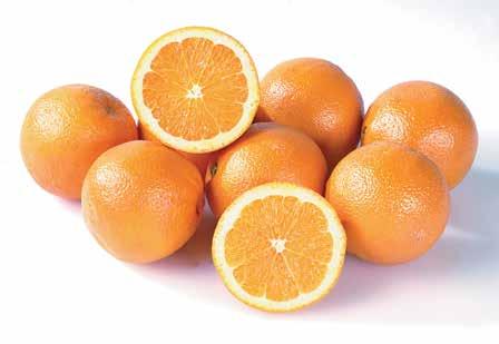 Cara Cara Navel Oranges 3