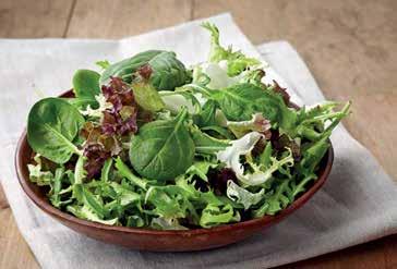 Blend Salad 6-10