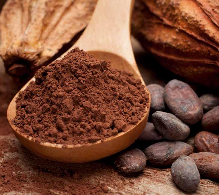 AT THE HEART OF THE COCOA VALUE CHAIN The quality of cocoa products is primarily determined by the quality of the raw cocoa.